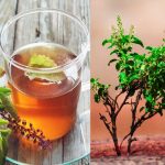 As holy as it is beneficial, Tulsi leaves remove every disease