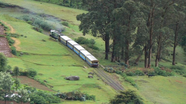 The slowest train journey in India