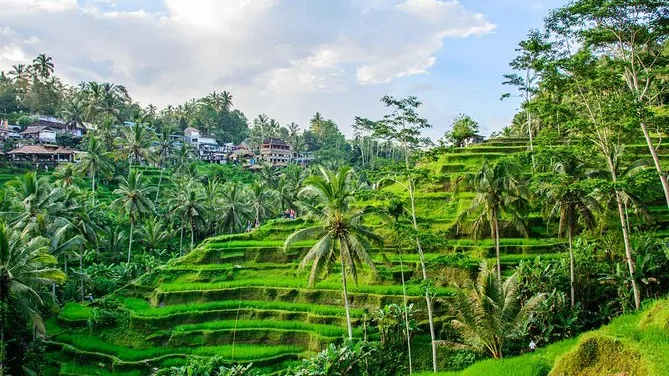 Ubud