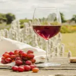 Benefits of Red Wine for Skin Health: An In-Depth Analysis