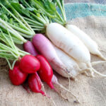 Benefits and disadvantages of radish