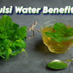 Tulsi Water Benefits