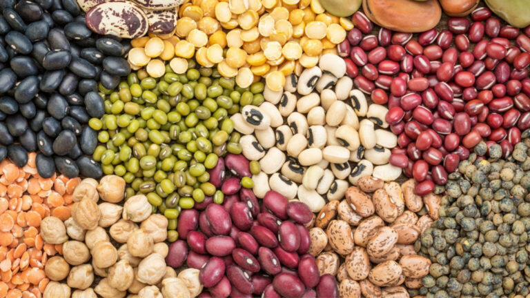 5 Best Beans and Legumes for Cognitive Functions