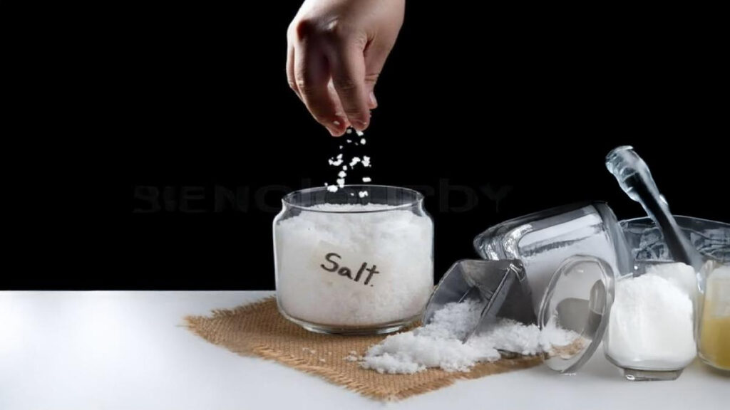 Amount of Daily Salt Intake: How Much Salt Is Right In A Day? Know The Important Advice of WHO - The Monk