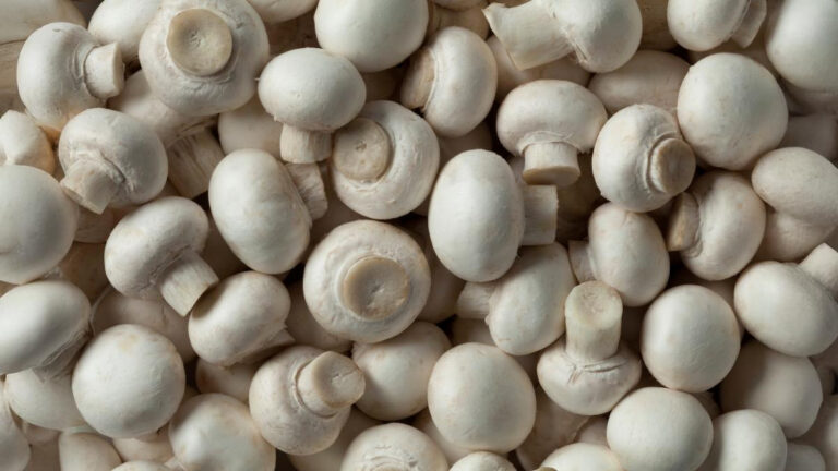 Eating 5 Mushrooms Daily May Help Combat Heart Disease And Dementia: Study