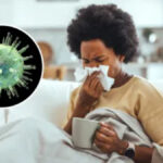 Afraid of Getting Diagnosed With HMPV? Here’S How To Protect Yourself From This Respiratory Virus 