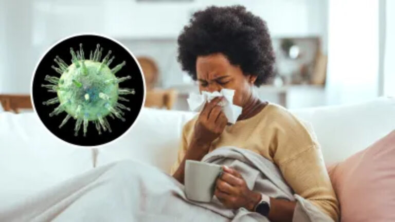 Afraid of Getting Diagnosed With HMPV? Here’S How To Protect Yourself From This Respiratory Virus 