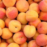 National Apricot Day