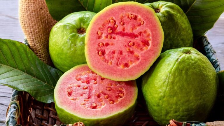 Guava Is Also Harmful For Health, Know Which People Should Not Eat This Fruit Even By Mistake?