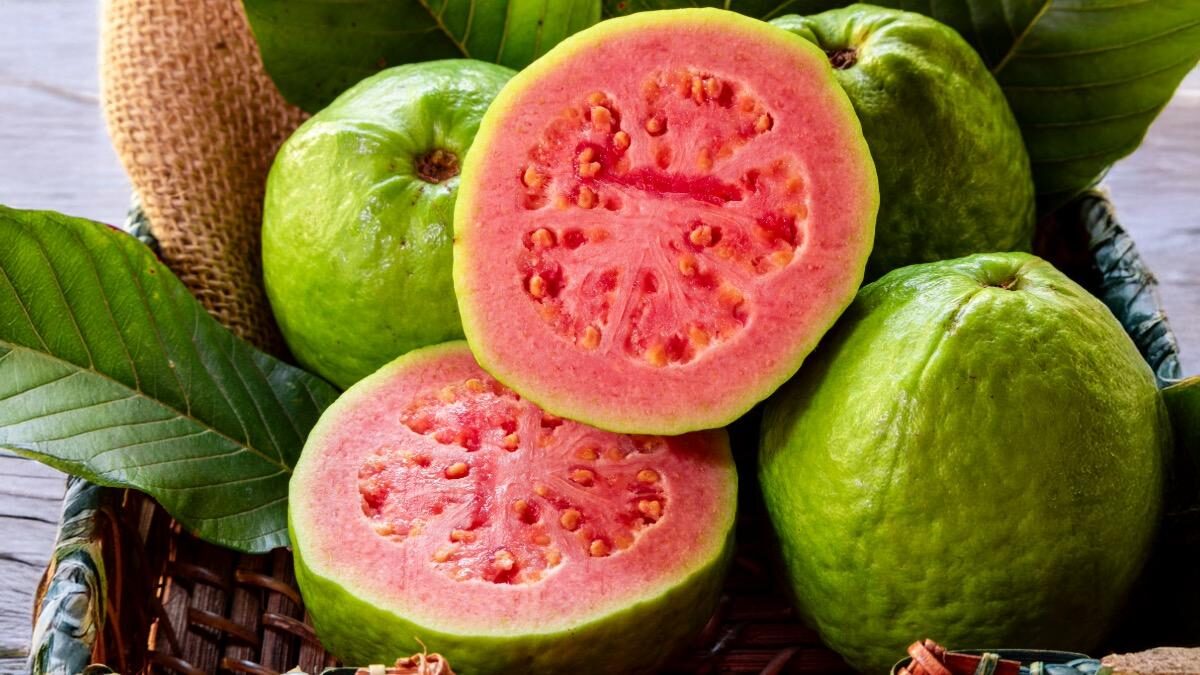 Guava Harmful For Health