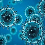 HMPV Cases Confirmed In India: What Are The Tests To Detect This Virus?