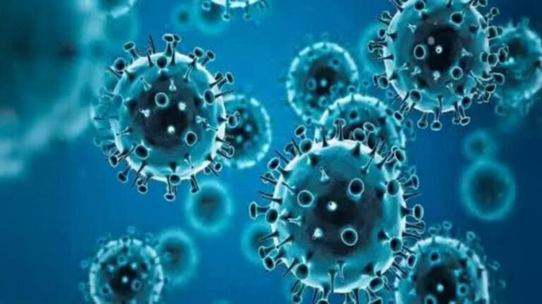 HMPV Cases Confirmed In India: What Are The Tests To Detect This Virus?