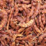 Sweet and Sour Tamarind: A Treasure of Health Beyond Taste