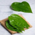 This Magical Leaf Of 5 Rupees Is The Killer Of Major Diseases, If Eaten In The Right Manner, It Will Improve Your Health