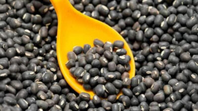 Benefits of Eating Soaked Urad Dal